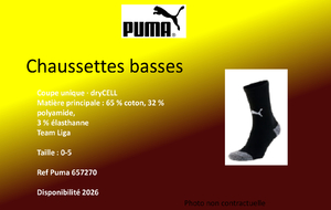 Chaussettes basses Adulte